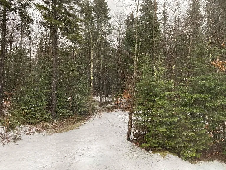 1072 Burrington Hill Rd — Photo 22