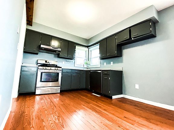 Kitchen (New stainless steel fridge delivered 3/22)