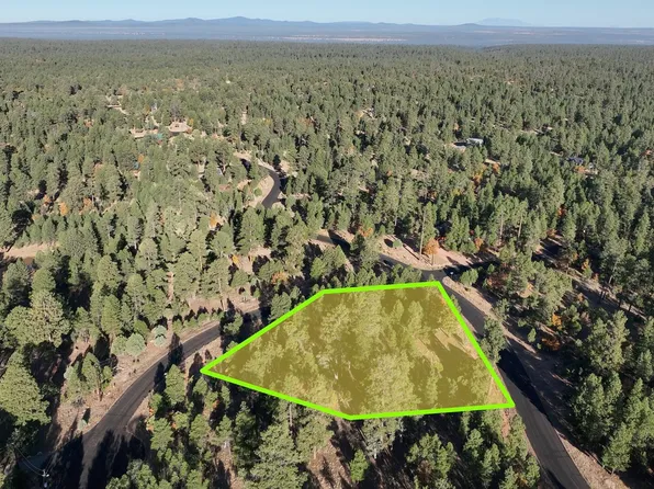 5376 TAMARRON Drive #98, Happy Jack, AZ 86024