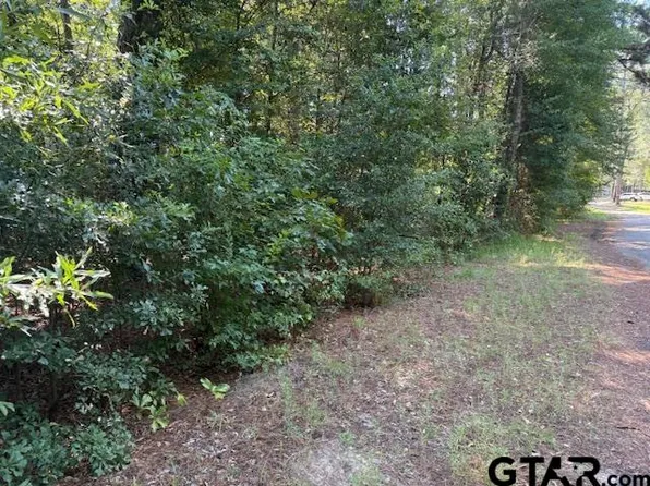 0 County Road 2155, Quitman, TX 75783