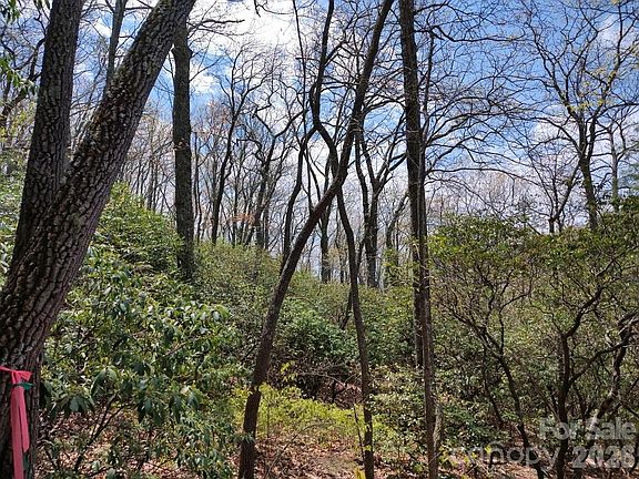 2nd image of 99999 Red Oak Forest Rd #1418