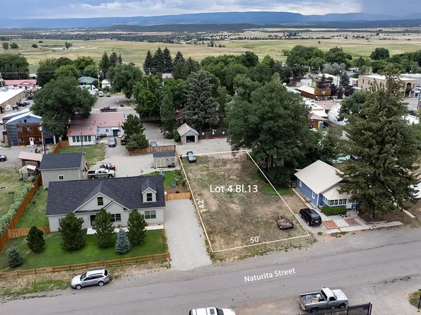 Naturita St Lot 13, Norwood, CO 81423