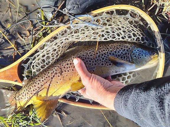 5th image of 1423 Redhill Road LOT 004