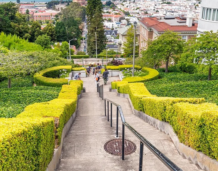 Enjoy daily walks to the Presidio's forested trails and panoramic views. 1 min drive (Lyon Street Steps shown)