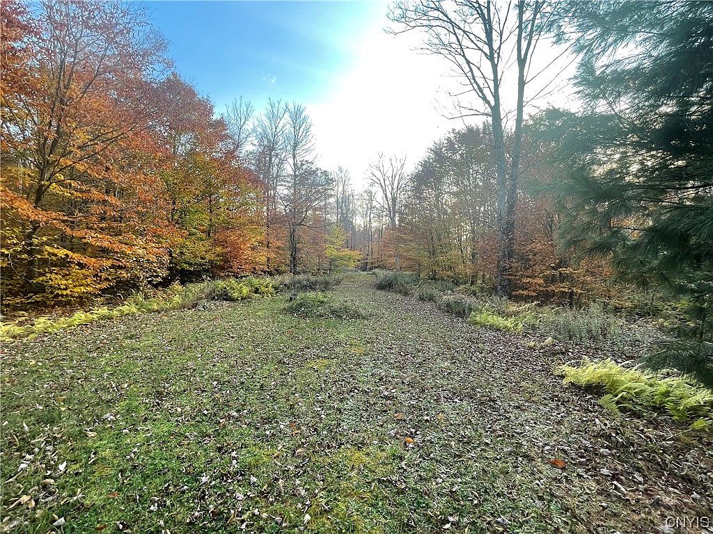 6295 Partridgeville Rd 20, Brantingham, NY 13312 MLS S1506657 Zillow