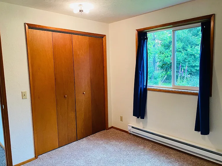 Bedroom Closet & Window