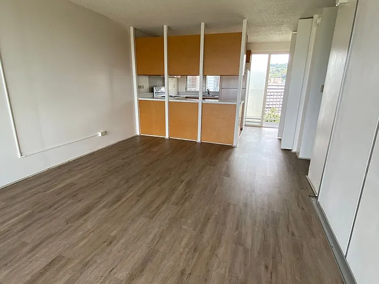1617 Keeaumoku St #1107 — Photo 4