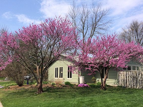 Southeast corner of lot