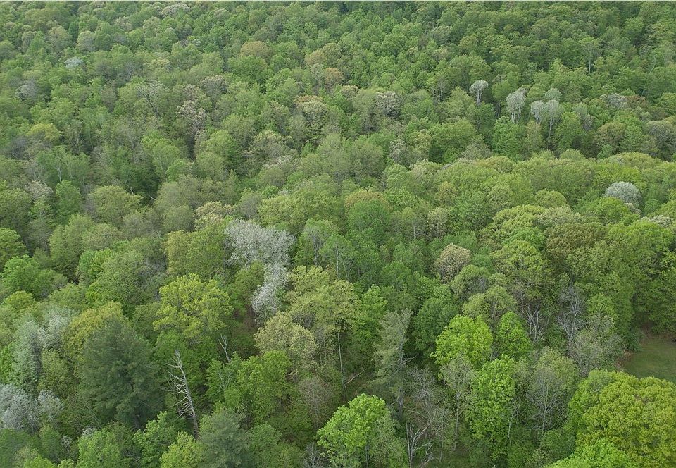 1st image of 0 State Route 82