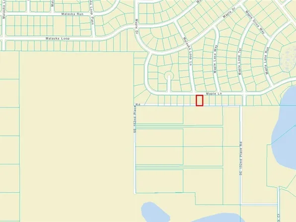 SE 152nd Place Rd, Ocklawaha, FL 32179