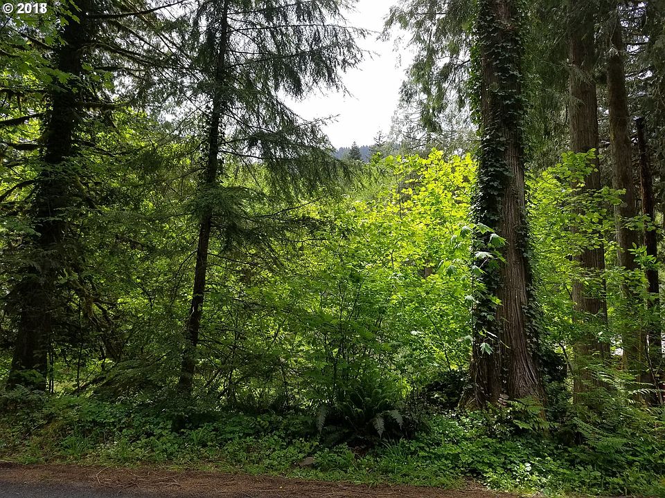 2nd image of 32849 E Mineral Creek Dr