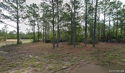 1st image of 10599 N Caldera Ave