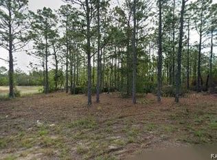 10599 N Caldera Ave, Citrus Springs, FL 34433