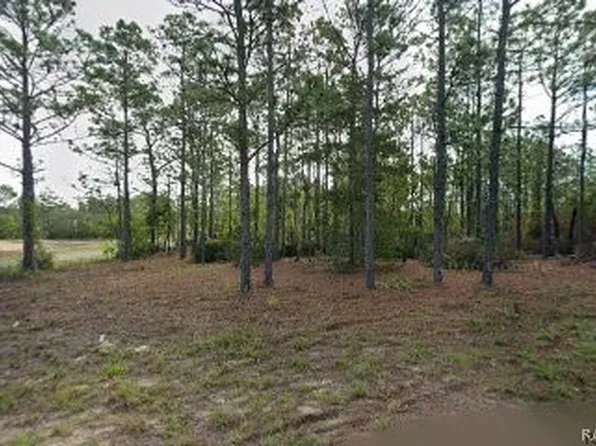 10599 N Caldera Ave, Citrus Springs, FL 34433