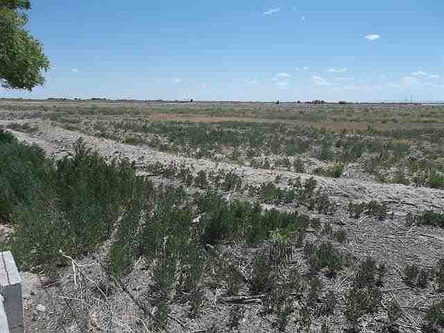 1st image of Carrasco Rd