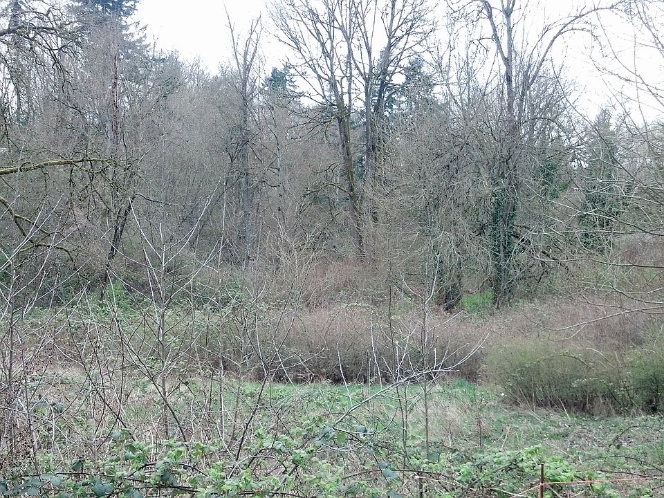 2nd image of 217 Xx 94th Pl S