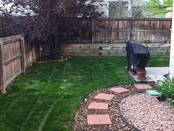 Back Yard!