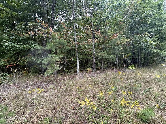 5th image of 0 Saint Anthony Dr Lot 48