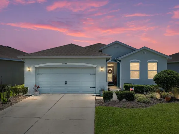 31785 Tansy Bnd, Wesley Chapel, FL 33545