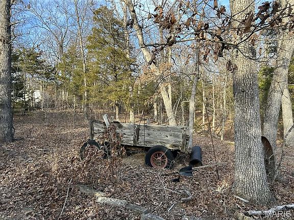 4th image of LOT 11 Danz Forest Dr