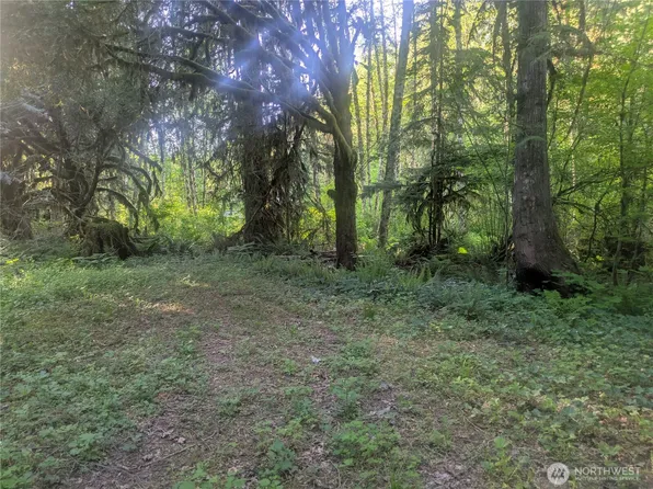 63323 W Cascade Way #D3-19, Marblemount, WA 98267