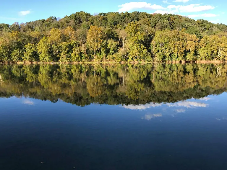 Riverview Shores Dr — Photo 19