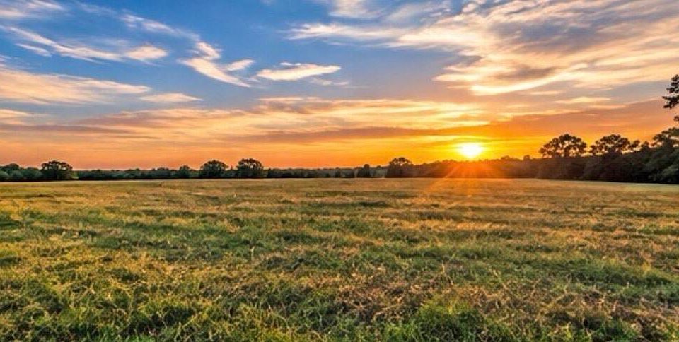 1st image of Tbd Farm Road 1057