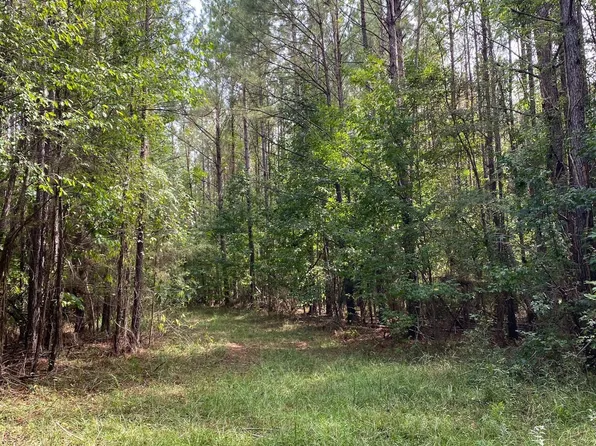 T16n R3e Section 9 & 10 Al Hwy #69, Gallion, AL 36742
