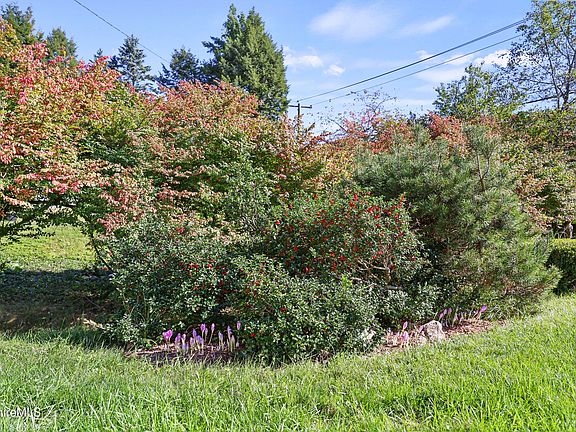 5th image of 341 Cheshire Rd
