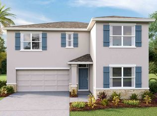 8234 Dolphin Bluff Blvd, Wesley Chapel, FL 33545