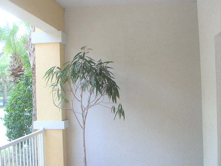 410 S Armenia Ave #919C — Photo 23