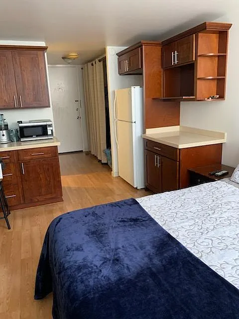 Studio, 310 sqft, $1,600 — Photo 1