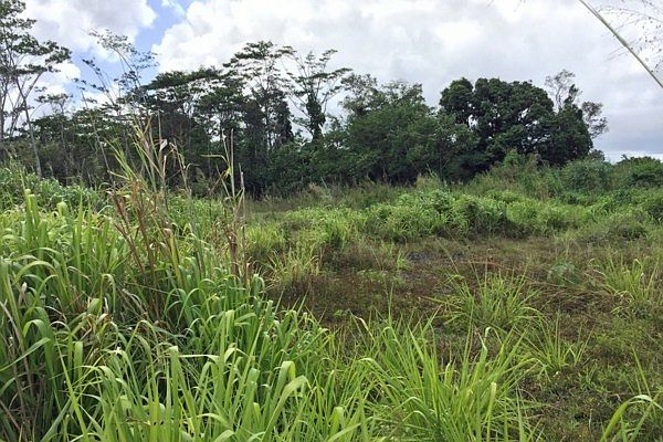 1st image of Kahakai Blvd Lot 16