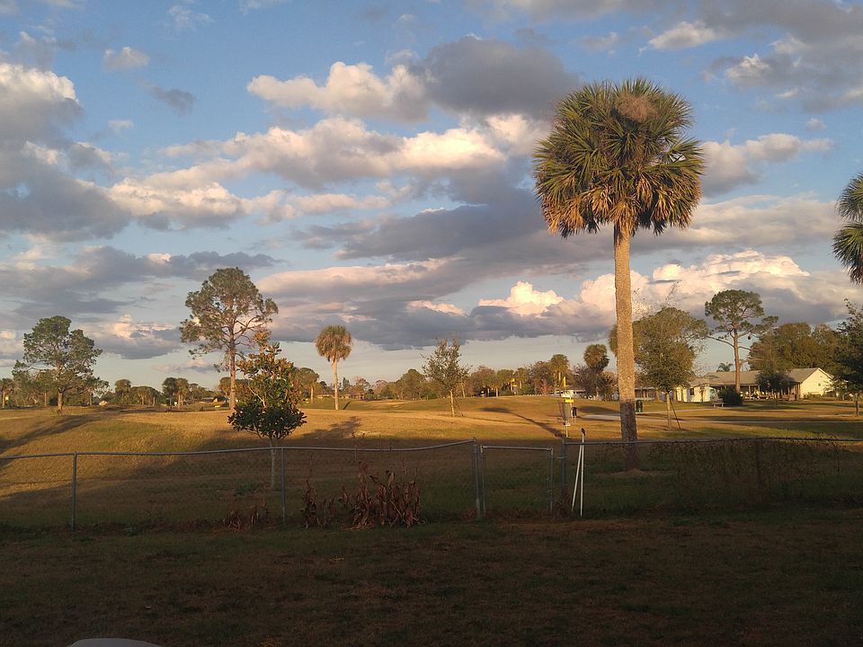 Back yard view