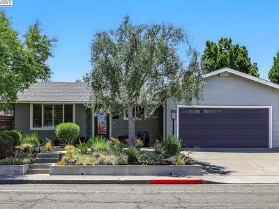 3676 Vineyard Ave, Pleasanton, CA, 94566