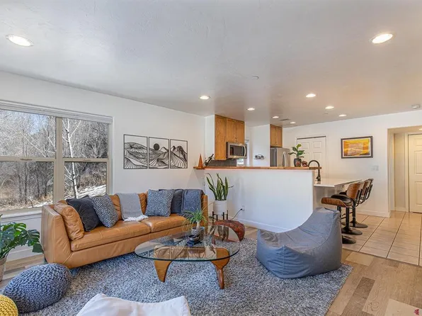 20240 W Highway 160 #201, Durango, CO 81303
