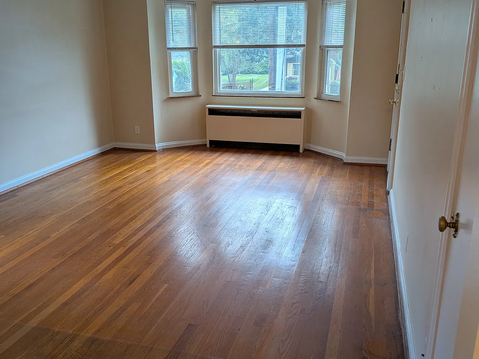 1 bed, 700 sqft, $1,295 — Photo 2