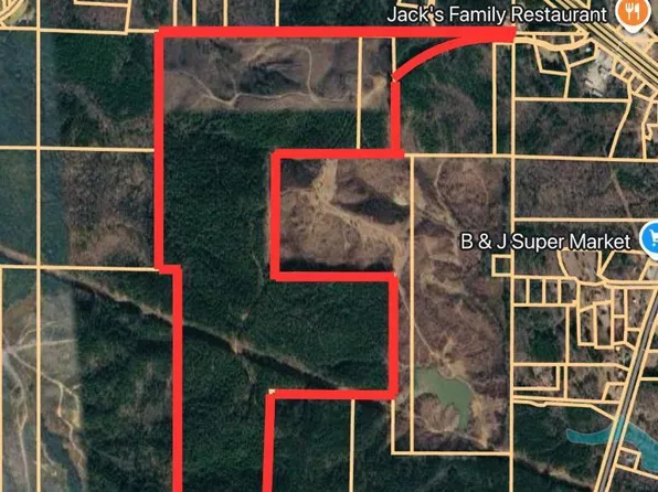 Ruby Ln, Burnsville, MS 38833