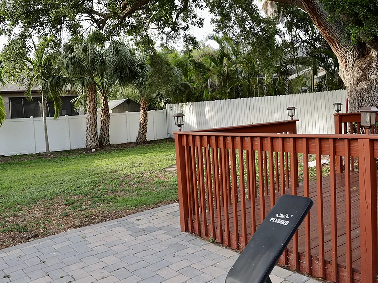 Backyard