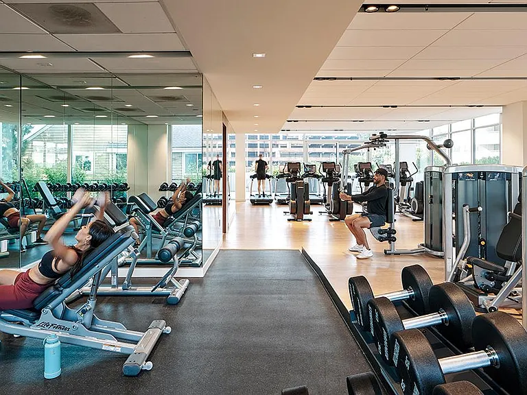 Professional fitness center with cardio equipment and free weights