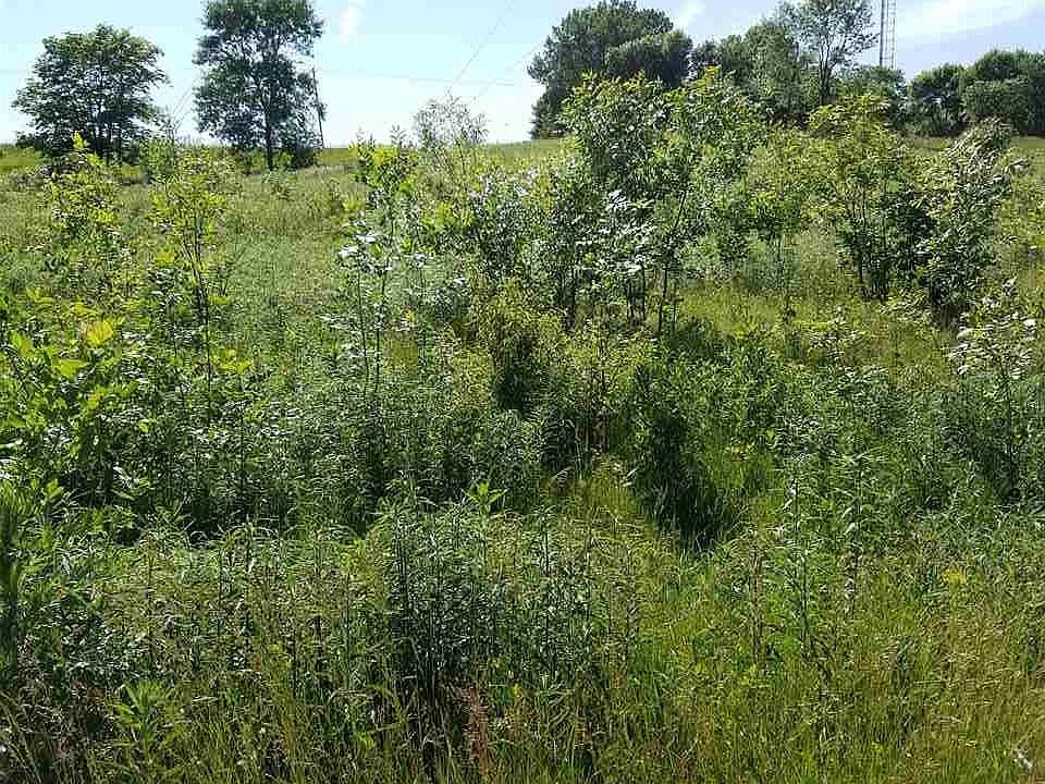 1st image of 2 W Meadow Creek Ln