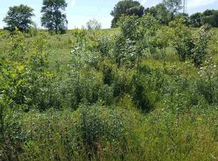 2 W Meadow Creek Ln, Lynn Center, IL 61262
