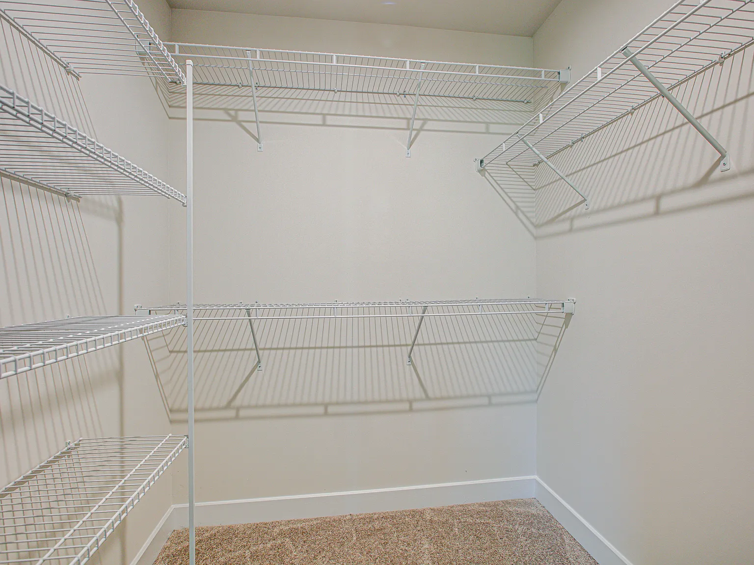 4 bed, 2000 sqft, $1,300 — Photo 3