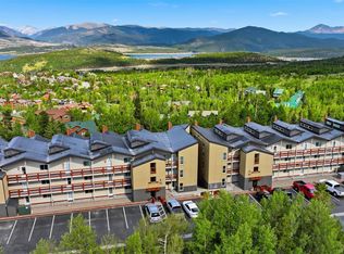 7317 Ryan Gulch Road UNIT 107, Silverthorne, CO 80498