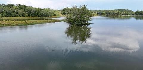 5th image of 0 County Road 567 Rd Lot 4