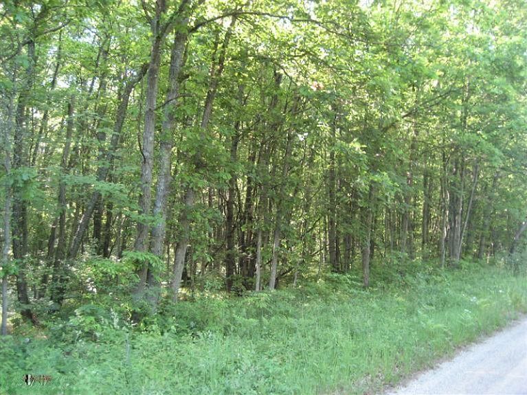 2nd image of 22855 W Cutler Rd