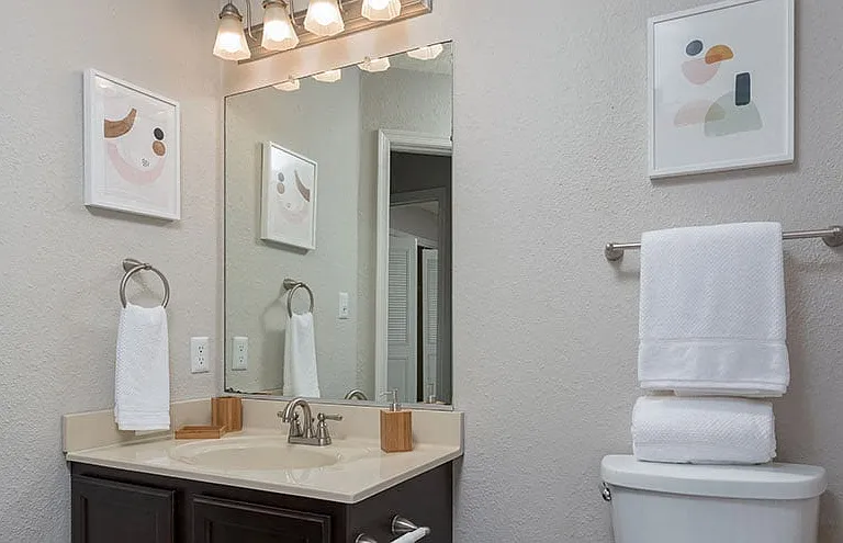 Birchwood at Boulders Apartments — Photo 36