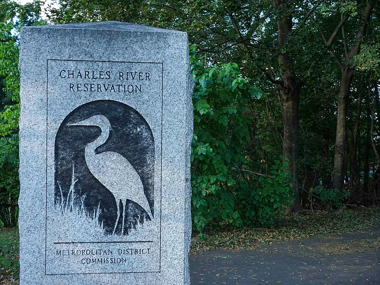 Steps to Charles River Reservation