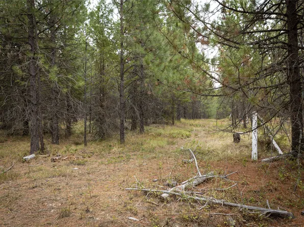 30 Big Loaf Ln, Libby, MT 59923