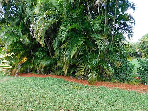 2nd image of 10925 Royal Caribbean Cir